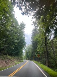 driving aesthetic, summer, summertime, summer aesthetic, summertime aesthetic, driving, road trip, pennsylvania, summer road trip, forrest, green, nature, instagram ideas, photo ideas, picture ideas, road trip aesthetic, country side