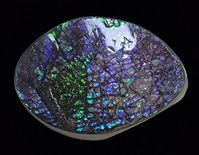 Experience the stunning beauty of nature with our double sided Ammolite Fossil Dragonskin from the MadCity Crystals collection. Each oval-shaped piece boasts a mesmerizing flash of purple and green, making it a truly unique and iridescent accessory. Made from genuine Ammolite, this fossil is a rare and valuable addition to any collection. Please Note: This is a FINAL SALE. Please Ask questions prior to purchase. **Monitor settings may differ causing color variations. Origin: Canada Approx. Size 3.25"x2.25"x1.00" Approx. Weight 212.1grams