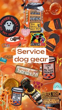 #servicedoggear #servicedog #disabilitypride