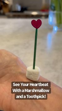 See Your Heartbeat With A Marshmallow and A Toothpick 💗 All you need is a toothpick and a mini marshmallow (and a heart sticker is optional) for this easy and super cool science experiment. Place the toothpick in the marshmallow and sticker on top of the toothpick if you have one. Then feel on your wrist for your pulse. Place the marshmallow on top of the pulse area and watch the toothpick move to the beat of your heart! So cool!