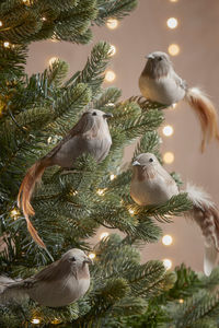 Bring the magic of wintery woodland to your tree with our elegant feathered bird clips. The neutral hues of these birds creates cosiness and serenity, perfect for calming and Scandi themed seasonal décor. 