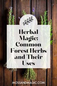 Herbal magic is a cornerstone of many spiritual practices, particularly those connected to nature and the earth. The forest, abundant with a variety of herbs, offers a natural pharmacy that can be utilized in both medicinal remedies and magical workings.