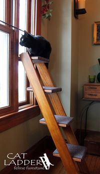 4 Step Cat Ladder