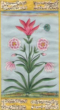 Mughal Flower