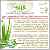 Due to its strong feminine energies and its connection to the Moon and Water, Aloe is considered sacred to Aphrodite, the Greek goddess of love, youth, and beauty, and her Roman counterpart Venus. // #aloe #protection #healing #beauty #soothing #water #moon #defense #plantmagick #magick