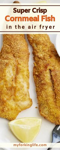 Enjoy your favorite fried fish without the guilt! These fish filets are covered in a cornmeal crust that cooks up super crispy! The inside stays flaky and tender, perfect for dipping in your favorite sauce. Best of all, it cooks up in the air fryer with almost no oil! You can make this on repeat all summer long.