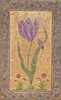 A PINK TULIP | POSSIBLY BY THE MASTER OF THE BORDERS, MUGHAL INDIA, POSSIBLY DECCAN, MID-17TH CENTURY | Drawings & Watercolors, body colour / gouache | Christie's