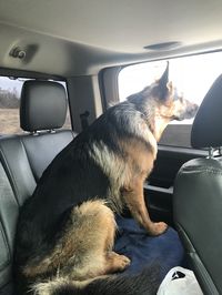 GSD