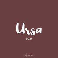 bear