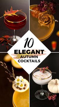 These 10 Autumn cocktails for your Halloween, Thanksgiving, and Fall-themed parties are elegantly spooky and delightfully seasonal!