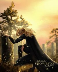 🖤”…Maybe you were my mate, and I never knew it. Maybe I'll spend the rest of my life wondering about that. Maybe I'll see you again in the Afterworld, and then I'll know for sure. But until then ... until then I'll miss you, and I'll wish you were here.” 🖤Artist: Snowarox 📖Throne of Glass: Queen of Shadows