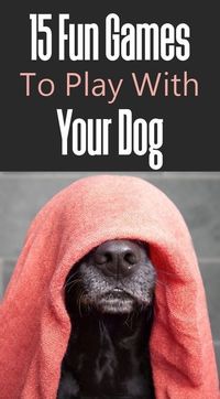 15 fun games to play with your dog