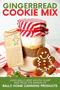 [SPONSORED] This Gingerbread Cookie Mix is an easy DIY gift that looks beautiful packaged in @ballcanning Wide Mouth Quart Jars! Add our free printable tags, some ribbon, and some fabric for a thoughtful hostess, teacher, or delivery person gift. #Ballhomecanningambassador #Ballhomecanning #NewellBrands #diygift #christmasgift