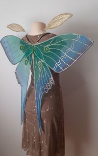 Lunaria Luna Moth Fairy Wings With Moth Antennae Moon Moth - Etsy