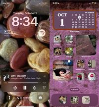 mazzy star jeff buckly october fall homescreen fiona apple