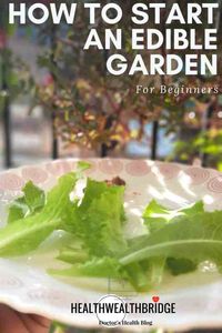 6 Edible Greens to grow in your Urban Garden: Balcony gardening for beginners) - Healthwealthbridge