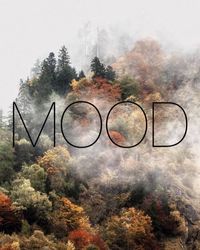 "MOOD" . We've curated a selection of inspirational images based upon the "WOODED" tones of "CLIFFORD LONDON, NW10" and using them for colour inspiration.