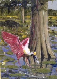 Roseate Spoonbill bird art print Cajun decor Louisiana art | Etsy