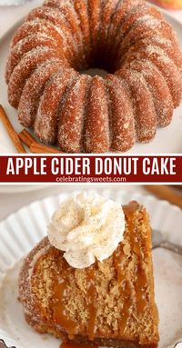 This Apple Cider Donut Cake tastes like your favorite apple cider donuts! Soft and fluffy cake flavored with apple cider, applesauce, and warm spices covered in cinnamon sugar.