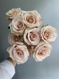 “Quicksand” roses are the go-to when looking for a blush variety. They open beautifully, and have a very antiqued, very light pink appearance.