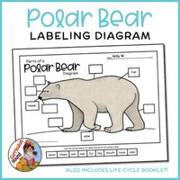 Students cut and paste or write words in boxes to label a polar bear diagram on a parts of a polar bear Arctic animals worksheet. Afterward, they assemble an engaging polar bear life cycle accordion booklet.Includes:Polar bear diagram in two versions (basic and extended, which requires students to indicate the color of a polar bear's skin and draw something a polar bear eats in addition to labeling) with the labels: back, claws, ear, eye, fur, leg, mouth, nose, pawReference poster (use as colori