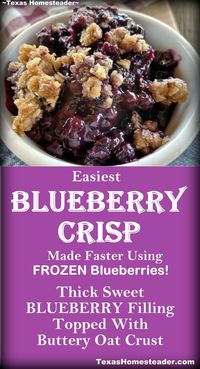 This blueberry crisp recipe features a thick sweet blueberry filling topped with a crispy buttery oat crust. It’s a simple recipe that uses a frozen-berry shortcut!   . . #TexasHomesteader #Blueberry #Dessert #EasyRecipe #BlueberryCrisp