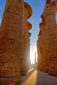 Karnak Temple, Valley of Nile, Egypt / Salle hypostyle du Temple de Karnak, Egypte, sunrise, nil, Luxor, Louxor,