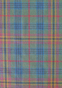 Tartan Plaid is a 100% wool plaid patterned fabric. This upholstery-weight fabric comes in two beautiful colorways.