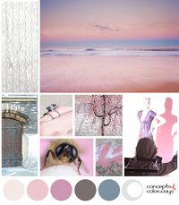 rose beauty color palette mood board