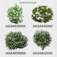 ❗️IF REPOST GIVE CREDITS❗️ bloxburg, roblox, decals, customdecals, bloxburgdecals, bloxburghouse, bloxburgdesign, bebaboid, homedecor, home, plant, nature, bushes, flowers, tree, green, plant decals, outside, outdoors