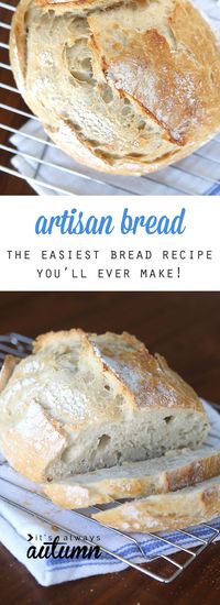 This artisan bread recipe is so easy to make and turns out amazing! It only takes 4 ingredients and 5 minutes of hands on time for crusty, delicious bread! How to make bread.