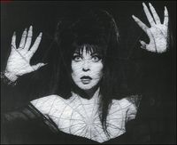 cassandra peterson, elvira, 1980s, 80s, horror, horror television