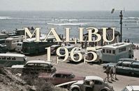 june riva ★ malibu rising