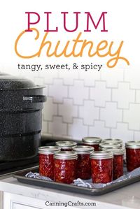 This easy water bath plum chutney canning recipe is amazing on charcuterie plates or topped on meats at summer cookouts. This tangly and sweet condiment has a subtle spicy flavor as well. Get our jewel-colored Plum Chutney Canning Recipe on CanningCrafts.com | #canning #foodpreservation #preserving #homecanning #canningrecipes #recipe #canningcrafts #masonjarlabels #canninglabels #masonjargifts #plumrecipe #plums #chutney #plumchutney