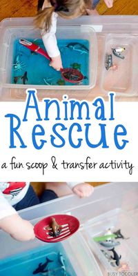 ANIMAL RESCUE: A fun scoop and transfer activity; easy indoor activity; water play activity; life skill activity