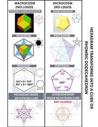 Rhombic dodecahedron- dodecahedron - hexagon- hexagram - metatrons cube - pentagon- pentagram  *(The hexagram transforms into a cube)*  *(The hexagram transforms into the rhombic dodecahedron)*