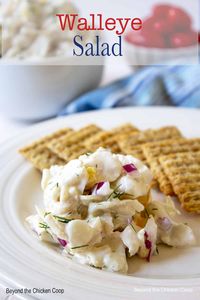 Walleye salad is similar to tuna salad but made with walleye, onions, peppers and a bit of fresh dill. This fish salad is perfect with crackers or eaten in a sandwich. 