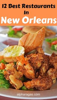 Want to eat in the best restaurants  in New Orleans!Find out the best rated restaurants with top class food and service  #frenchquarter  #finedining  #dinner  #seafood #withkids #brunch #desserts #appetizers #sides #crawfish #beignets