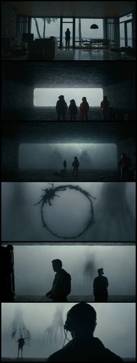 Arrival (2016) Director: Denis Villeneuve. Photography: Bradford Young.