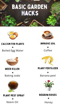 🌿 New to gardening? Embark on your gardening journey with these simple yet effective hacks! Perfect for beginners, these tips will help you cultivate a thriving garden with ease. From seed starting to soil care, discover how to grow flowers, vegetables, and herbs like a pro. No green thumb? No problem! These beginner-friendly hacks will guide you every step of the way. Start your green journey today and watch your garden bloom! 🌿✨  #GardeningHacks #BeginnerGardening #EasyGardenTips #DIYGarden #PlantCare #HomeGarden #UrbanGardening #GreenThumb #GardeningForBeginners #GardenInspiration #PlantLovers #GrowYourOwn