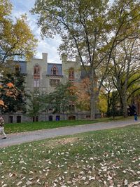 #fall #autumn #upenn #collegelife #campus