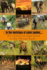 Going on a safari in Africa is so much more than a bucket list item to scratch off! Save this pin to read more about the behind the scenes and how you can be part of it, spend more time in the bush and learn about the animals, coservation and fauna!