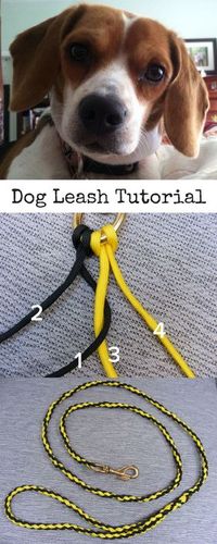 Learn step-by-step how to make a dog leash out of paracord. We'll be creating a braid from two different colors of paracord.