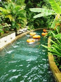 Waterbom Bali (Kuta, Indonesia) on TripAdvisor: