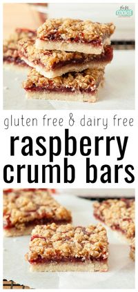 Gluten Free Raspberry Crumb Bars (Dairy Free)