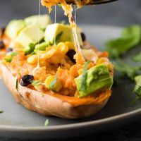 enchilada stuffed sweet potato on gray plate with fork taking a bite