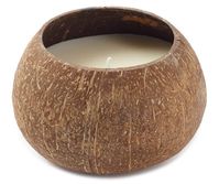 I found a Coconut Orchid Candle, 10 Oz. at Big Lots for less. Find more at biglots.com!