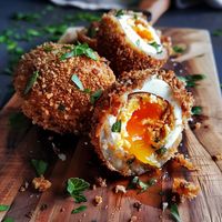 Scotch Eggs