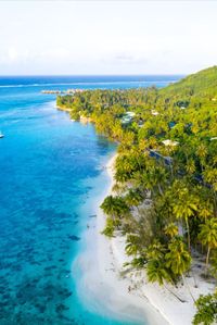 From the Caribbean's pristine reefs to the vast, sparkling lagoons of French Polynesia, these beaches are impossible to resist. Blue waters, pristine sands, and clear skies make the Caribbean and Pacific Islands some of the most popular travel destinations in the world. A trip to these beaches is a tropical treat. Whether you opt to lie on a white sandy beach or dive among colorful reefs, these are the world's best crystal-clear blue water beaches.