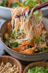 This crunchy Thai noodle salad recipe is full of fresh flavor and veggies. Made with vermicelli noodles and a sweet & savory coconut milk dressing, it’s the perfect cold noodle salad, especially for summer!
 
A nice, cold Thai noodle salad is my idea of a perfect summer dish.Loaded with crunchy vegetables like cucumber, carrots and bell peppers mixed with rice noodles, and topped with a sweet and savory coconut milk dressing, it’s got TON of authentic Thai flavor.John and I went to Tha…